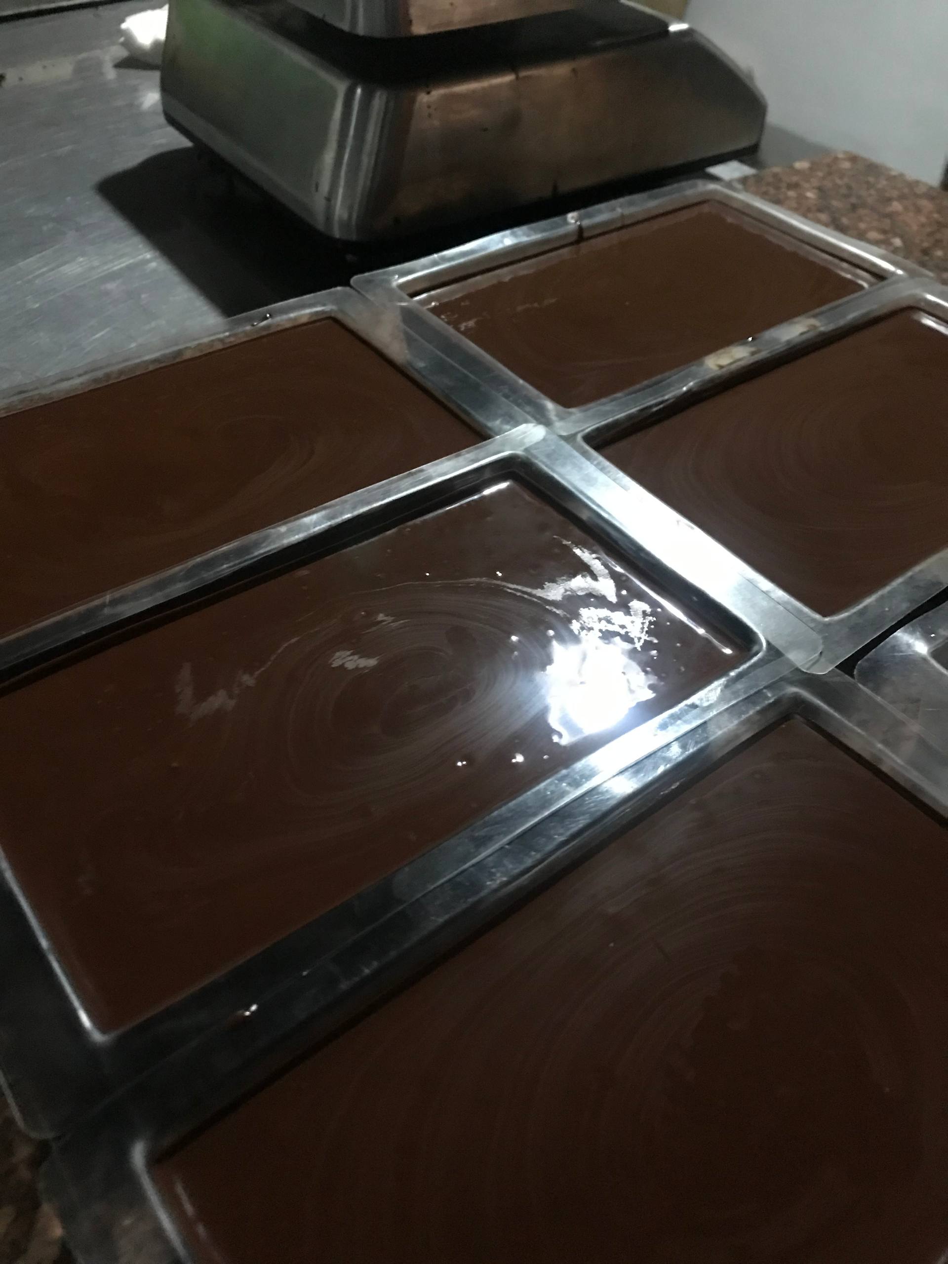 Cacao venezolano 4